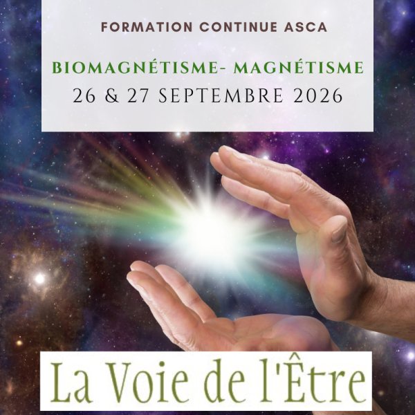 Magnétisme- Biomagnétisme