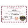 Coach professionnel certifié